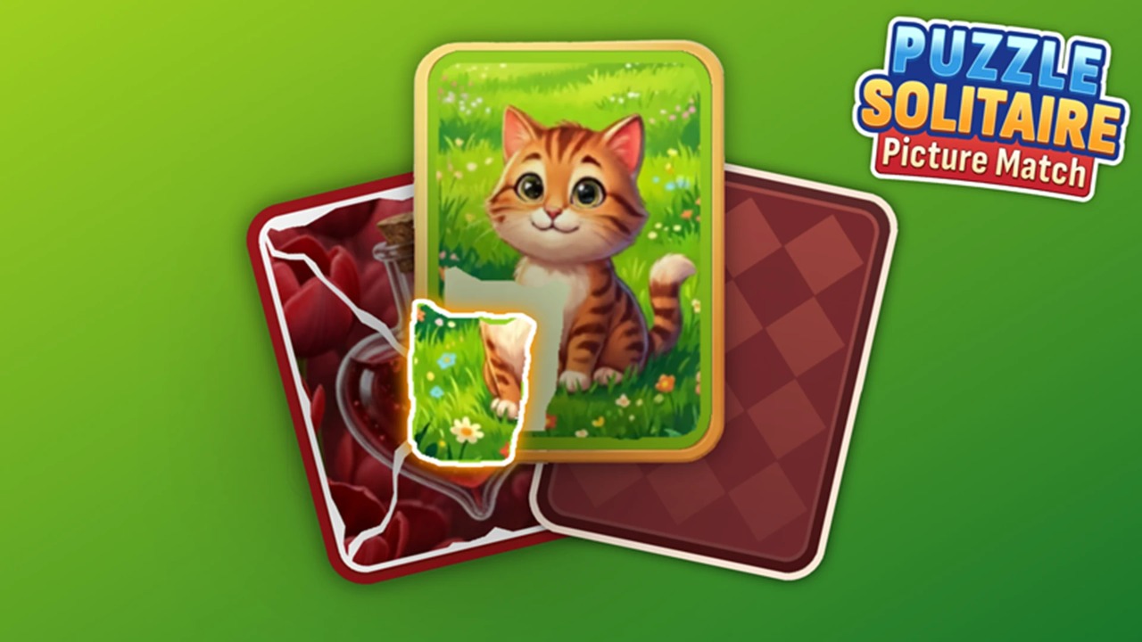 Puzzle Solitaire Picture Match